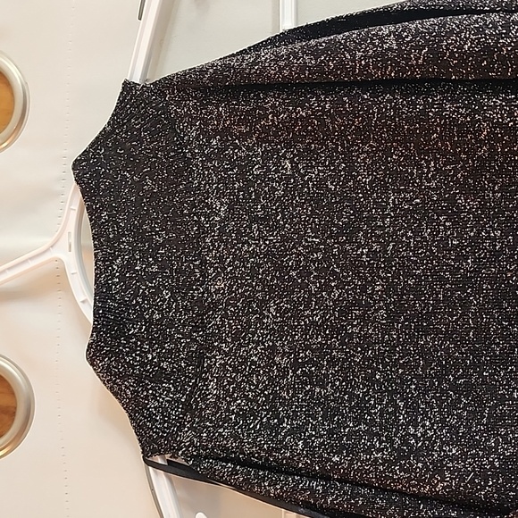 (9843) NWT INC shimmering dress - Picture 9 of 10